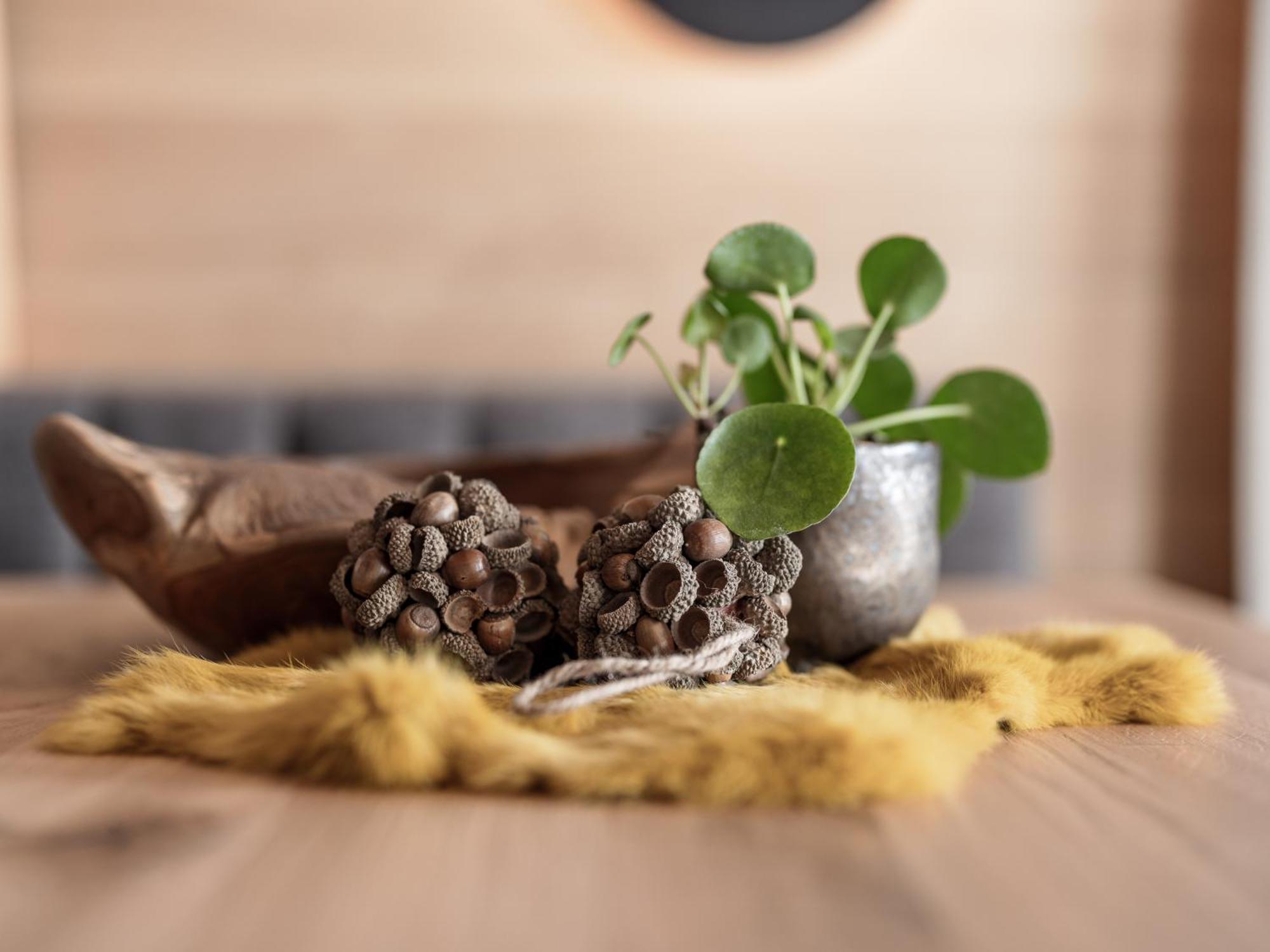 Myalps Oetztal Inklusive Wellness Apartment Umhausen Ruang foto